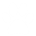 white paw print